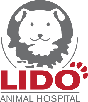 Lido Animal Hospital logo